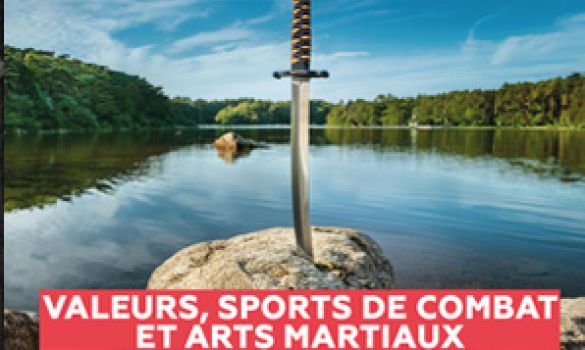 katana planté dans un rocher